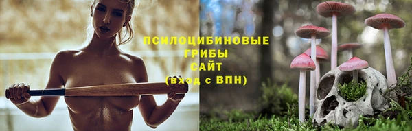 дмт Абинск