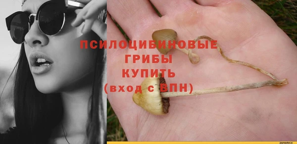 ГАЛЛЮЦИНОГЕННЫЕ ГРИБЫ Нефтекумск