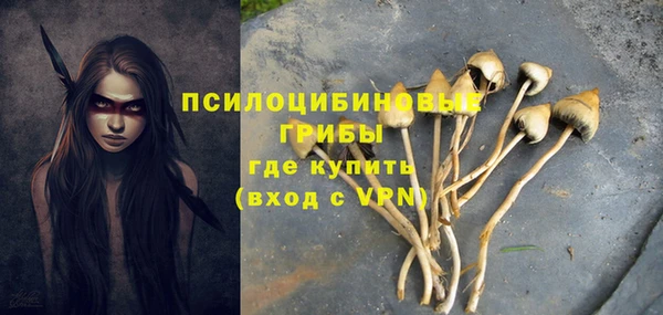 дмт Абинск