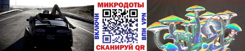 Галлюциногенные грибы Cubensis  Нестеровская 