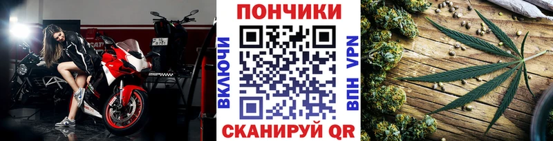 Конопля OG Kush  Нестеровская 